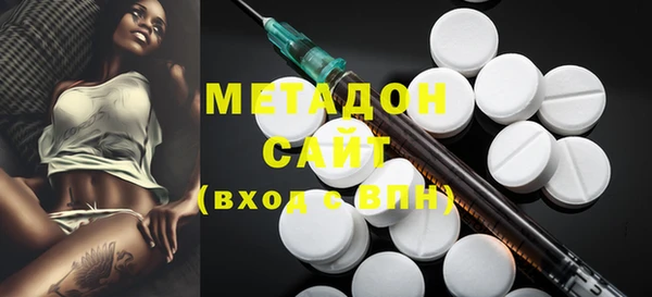 хмурый Пересвет
