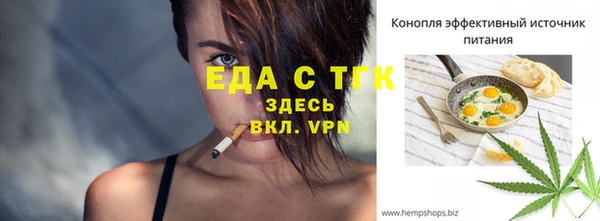 хмурый Пересвет