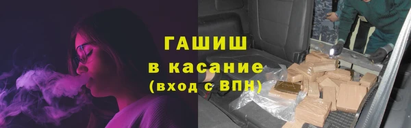 хмурый Пересвет