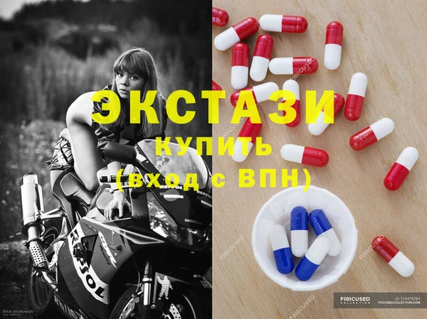 хмурый Пересвет