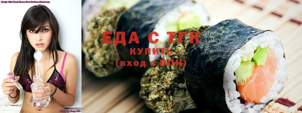 хмурый Пересвет