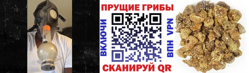 Псилоцибиновые грибы мухоморы Суздаль